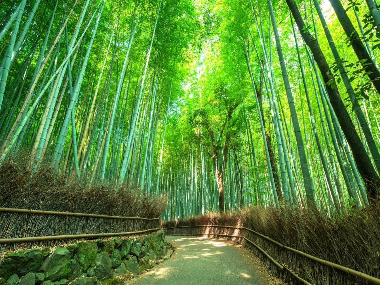 Giappo Franca Kyoto 호텔 외부 사진
